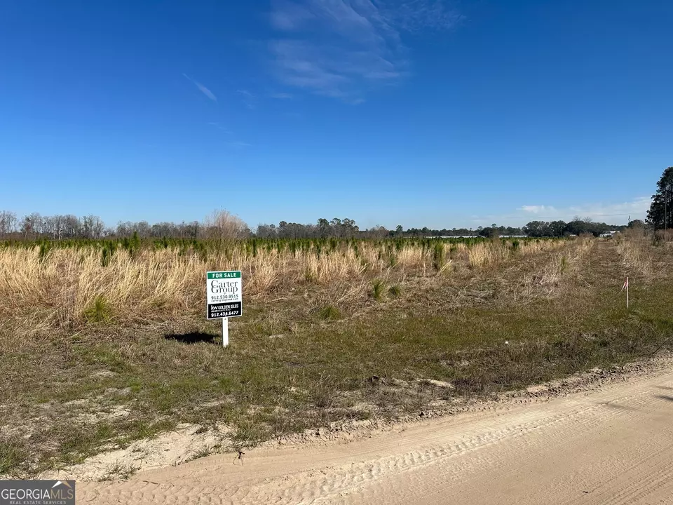  2000 Sellers Rd NW # -4, Baxley, GA 31513 photo 8