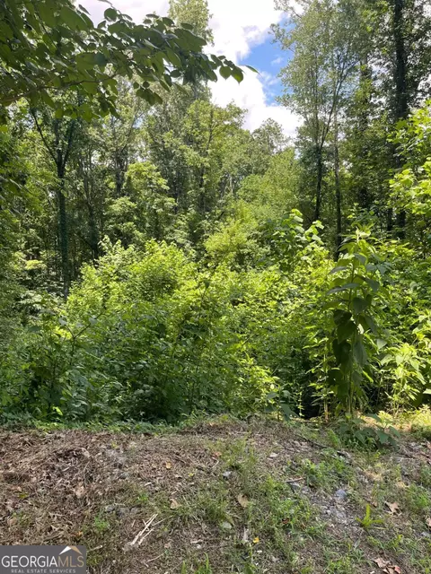 609 Ann Ct, Woodstock, GA 30188