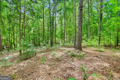 11 59- Ac Hunt Rd, Lagrange, GA 30241 photo 2
