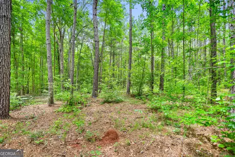 11 59- Ac Hunt Rd, Lagrange, GA 30241 photo 32