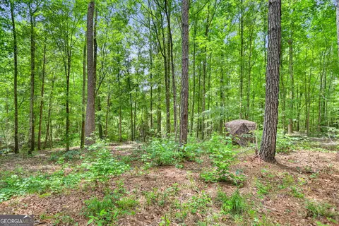 11 59- Ac Hunt Rd, Lagrange, GA 30241 photo 33