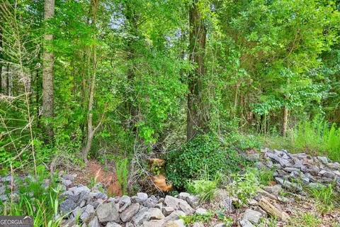 11 59- Ac Hunt Rd, Lagrange, GA 30241 photo 6