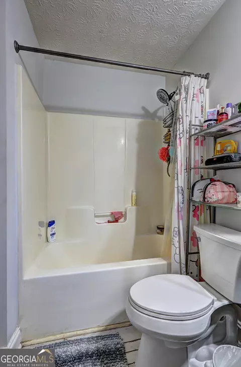 Bath - 160 Aaron Ct, Forsyth, GA 31029 photo 2 of 5