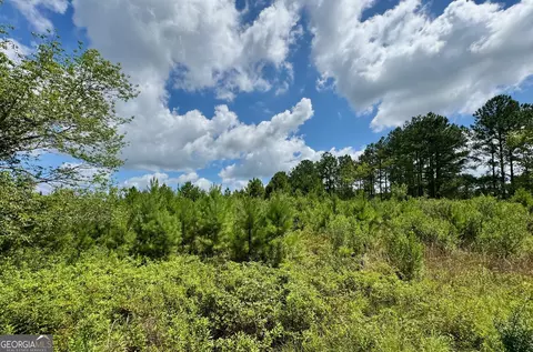 697 Benjamin H Hill Dr, Fitzgerald, GA 31750