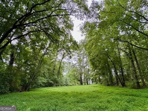 Other - 360 Morgan Mill Rd, Brooks, GA 30205 photo 27 of 31