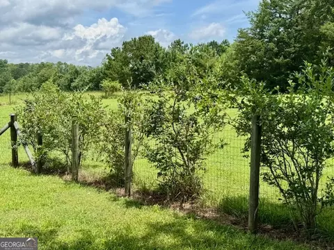 Other - 360 Morgan Mill Rd, Brooks, GA 30205 photo 23 of 31