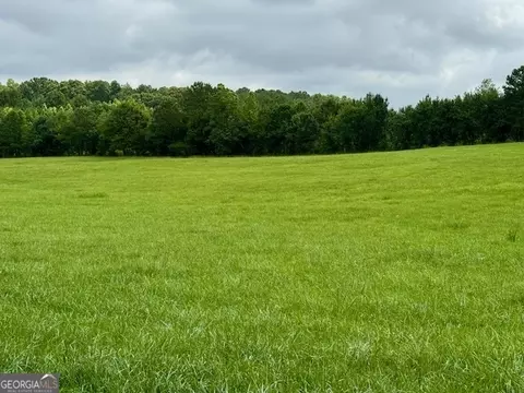 Other - 360 Morgan Mill Rd, Brooks, GA 30205 photo 29 of 31