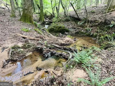 0 Moriah Church Rd #- 16.01 ACRES, Colbert, GA 30628