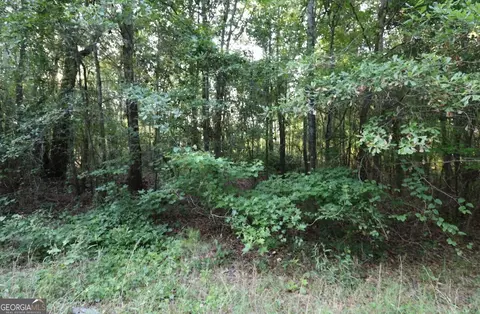 0 Kings Mill Rd #6, Wrens, GA 30833