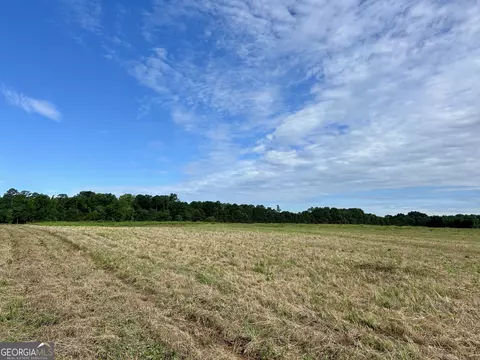 221 Hamil Rd #12.5 AC, Griffin, GA 30223