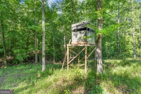 Other - 446 Thornton Rd, Washington, GA 30673 photo 18 of 20