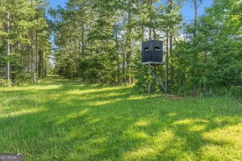 Exterior - 446 Thornton Rd, Washington, GA 30673 photo 17 of 17
