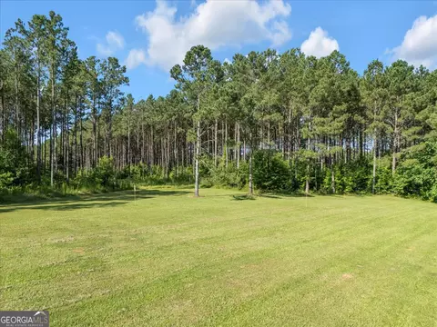 Exterior - 446 Thornton Rd, Washington, GA 30673 photo 9 of 17