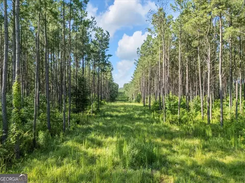 Other - 446 Thornton Rd, Washington, GA 30673 photo 14 of 20