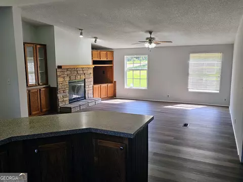 Living - 129 Mills Rd, Franklin, GA 30217 photo 5 of 5