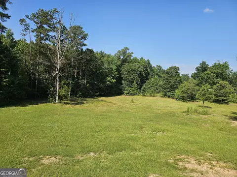 Exterior - 129 Mills Rd, Franklin, GA 30217 photo 6 of 6