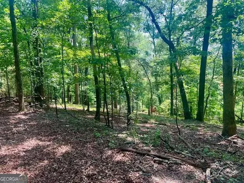 9262 Morrison Rd, Lula, GA 30554 photo 6