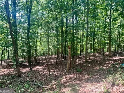 9262 Morrison Rd, Lula, GA 30554 photo 44