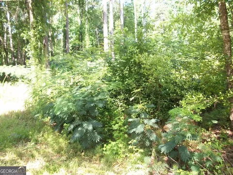 43 Shady Ln, Jackson, GA 30233 photo 2