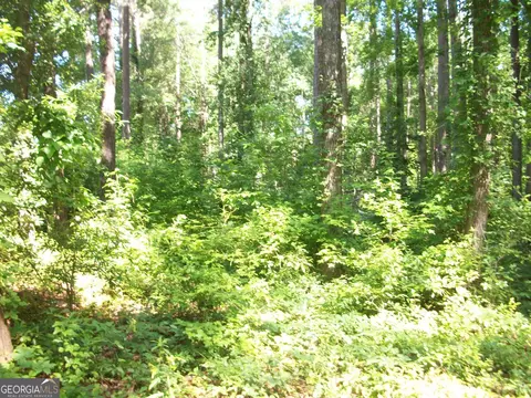 43 Shady Ln, Jackson, GA 30233 photo 7