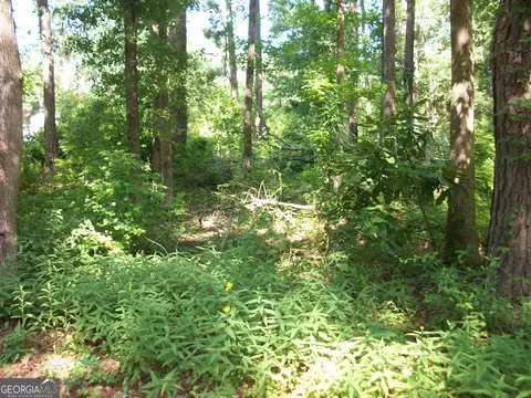 43 Shady Ln, Jackson, GA 30233 photo 6