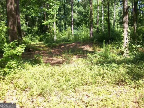 43 Shady Ln, Jackson, GA 30233 photo 4