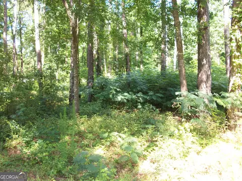 43 Shady Ln, Jackson, GA 30233 photo 3