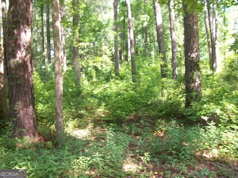 43 Shady Ln, Jackson, GA 30233 photo 5