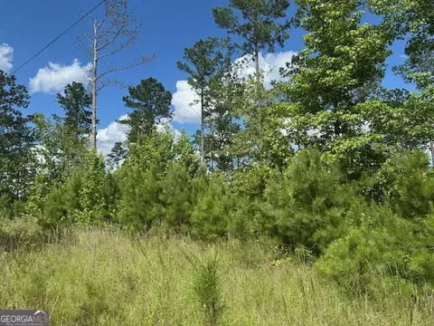 lot10 Tennille Oconee Rd, Tennille, GA 31089