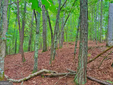 0 Hale Ct, Ellijay, GA 30540