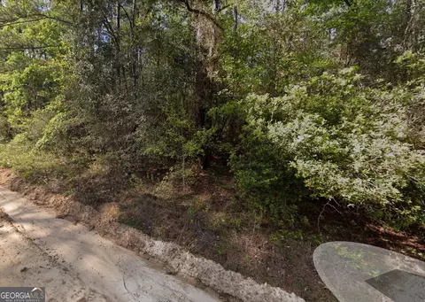 12 05 Acress Roundtree Rd, Quitman, GA 31643 photo 3