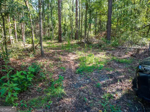 12 05 Acress Roundtree Rd, Quitman, GA 31643 photo 6