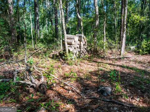 12 05 Acress Roundtree Rd, Quitman, GA 31643 photo 7