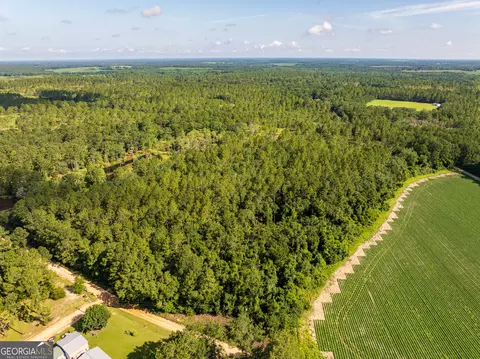 12 05 Acress Roundtree Rd, Quitman, GA 31643 photo 10