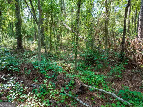 12 05 Acress Roundtree Rd, Quitman, GA 31643 photo 4