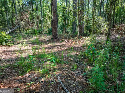 12 05 Acress Roundtree Rd, Quitman, GA 31643 photo 8
