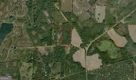 12 05 Acress Roundtree Rd, Quitman, GA 31643 photo 12