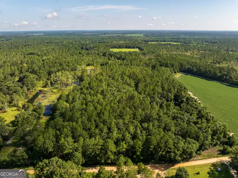 12 05 Acress Roundtree Rd, Quitman, GA 31643 photo 11