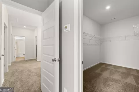 10422 Trellis Ln #( 38), Hampton, GA 30228 photo 16