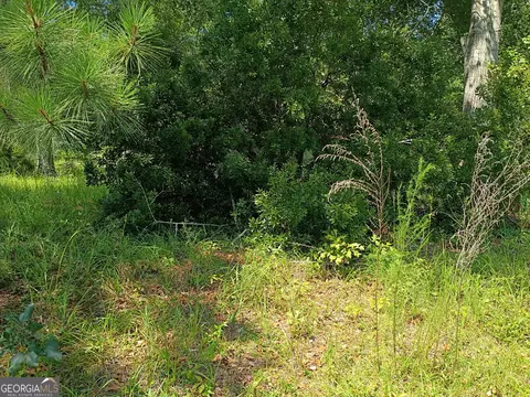 lot S 29 30 Pine Acres Dr, Milan, GA 31060