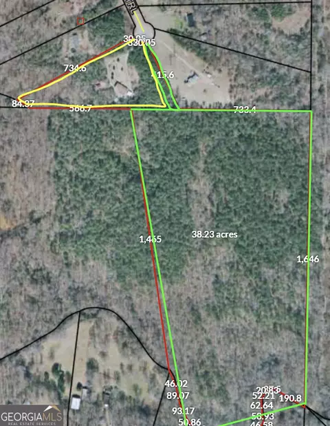 905 Natures Trl, Forsyth, GA 31029 photo 2