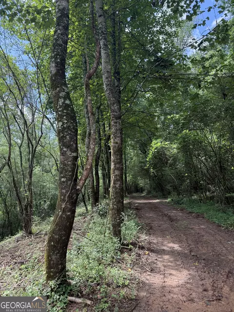 683 Jess Hunt Rd, Cleveland, GA 30528