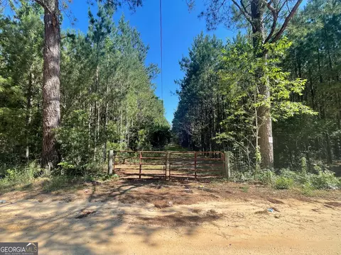 0 Goins Rd, Wrightsville, GA 31096