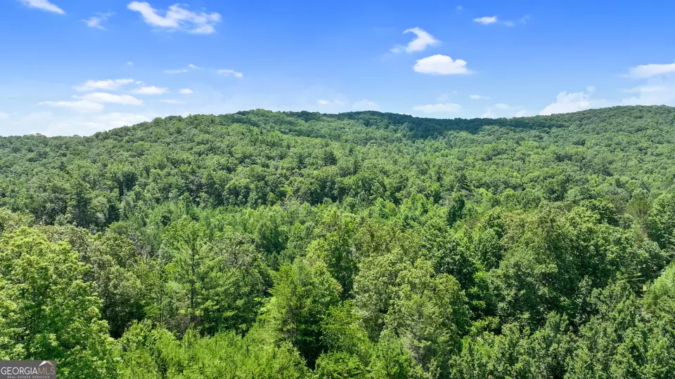  lot1 High Knee Rd, Cherry Log, GA 30522 photo 13
