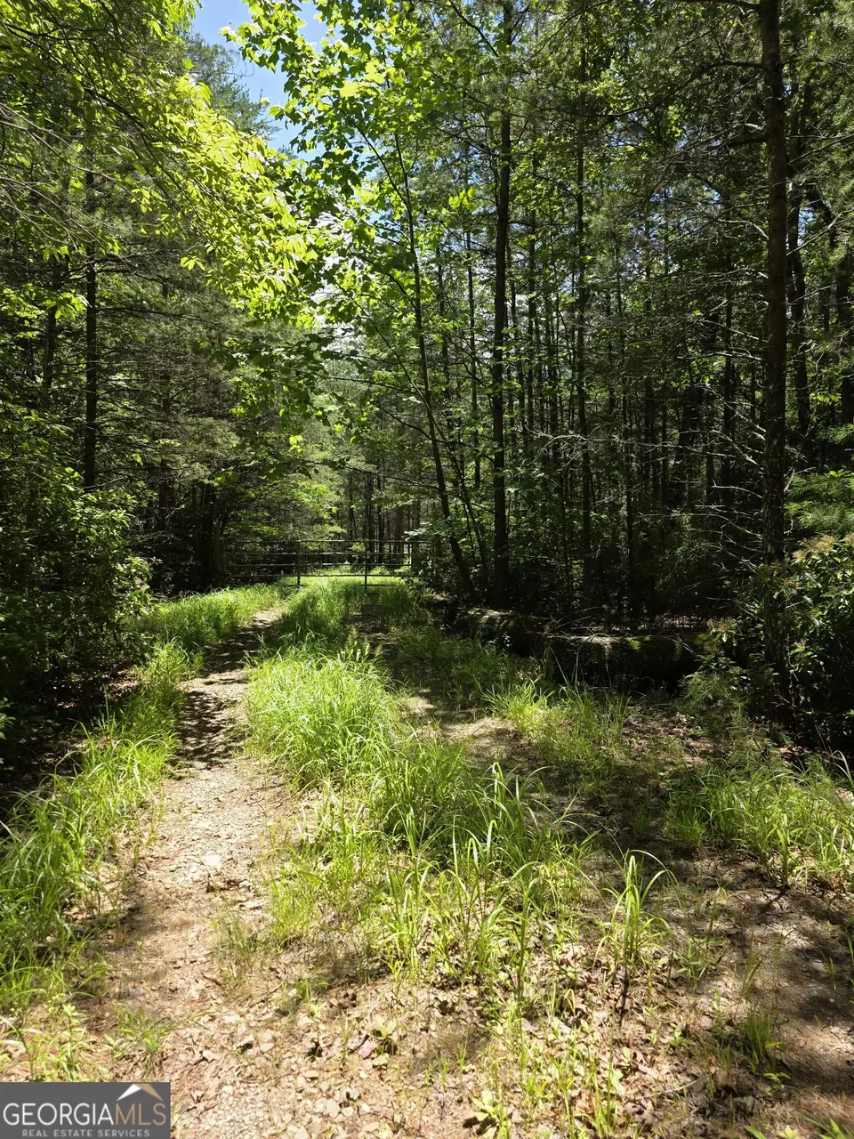  lot1 High Knee Rd, Cherry Log, GA 30522 photo 16