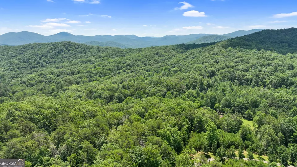  lot1 High Knee Rd, Cherry Log, GA 30522 photo 11