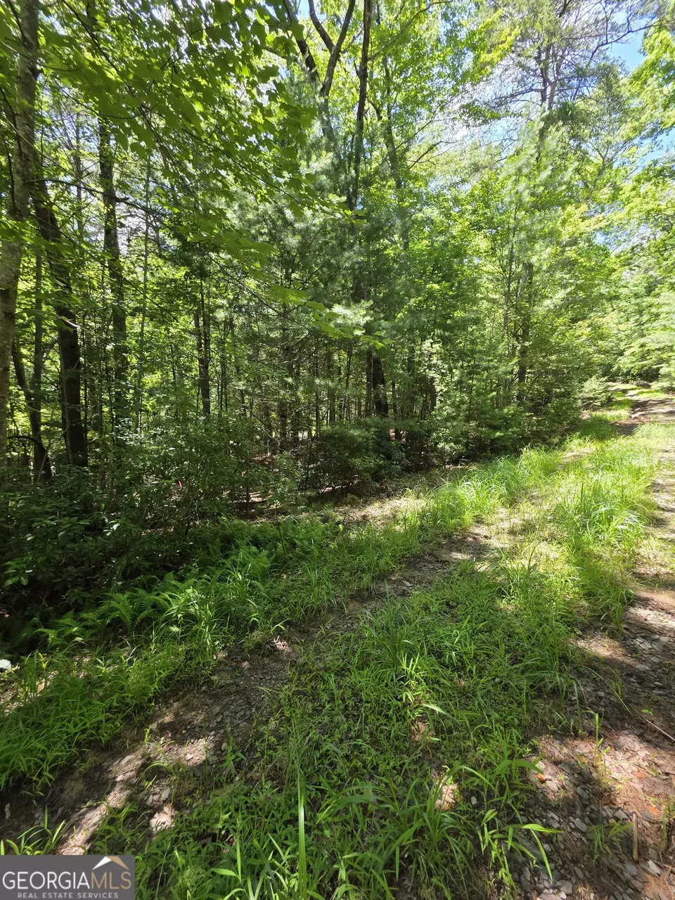  lot1 High Knee Rd, Cherry Log, GA 30522 photo 17