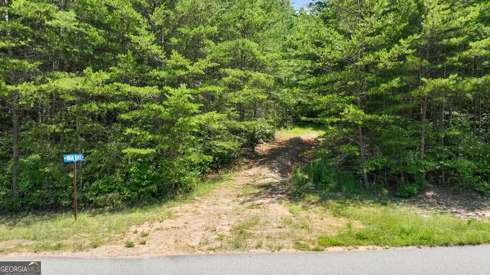  lot1 High Knee Rd, Cherry Log, GA 30522 photo 4