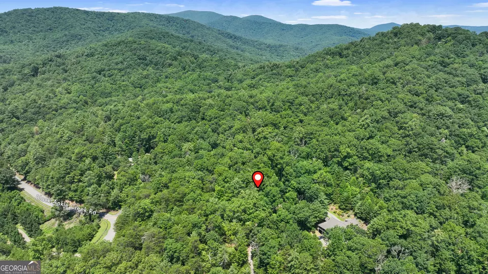  lot1 High Knee Rd, Cherry Log, GA 30522 photo 9