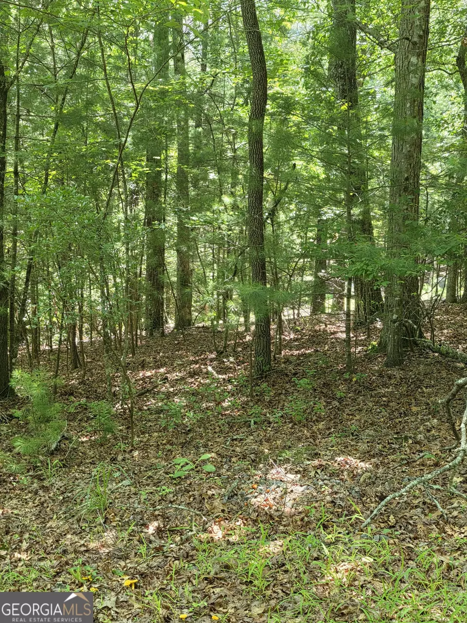  lot1 High Knee Rd, Cherry Log, GA 30522 photo 18